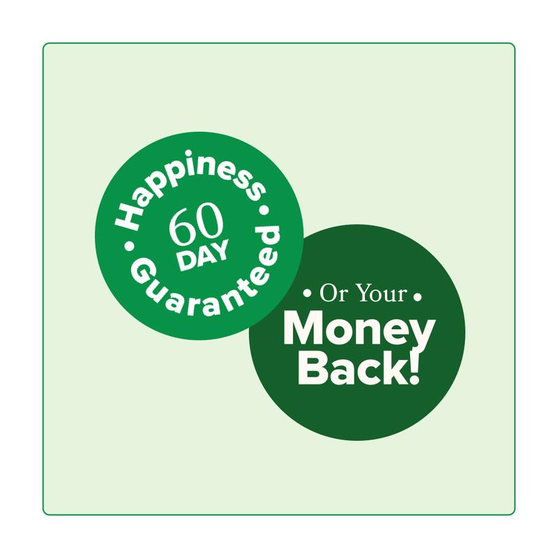 MOTO™ - Premium Metabolism Support